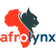 Afrolynx IT Solutions